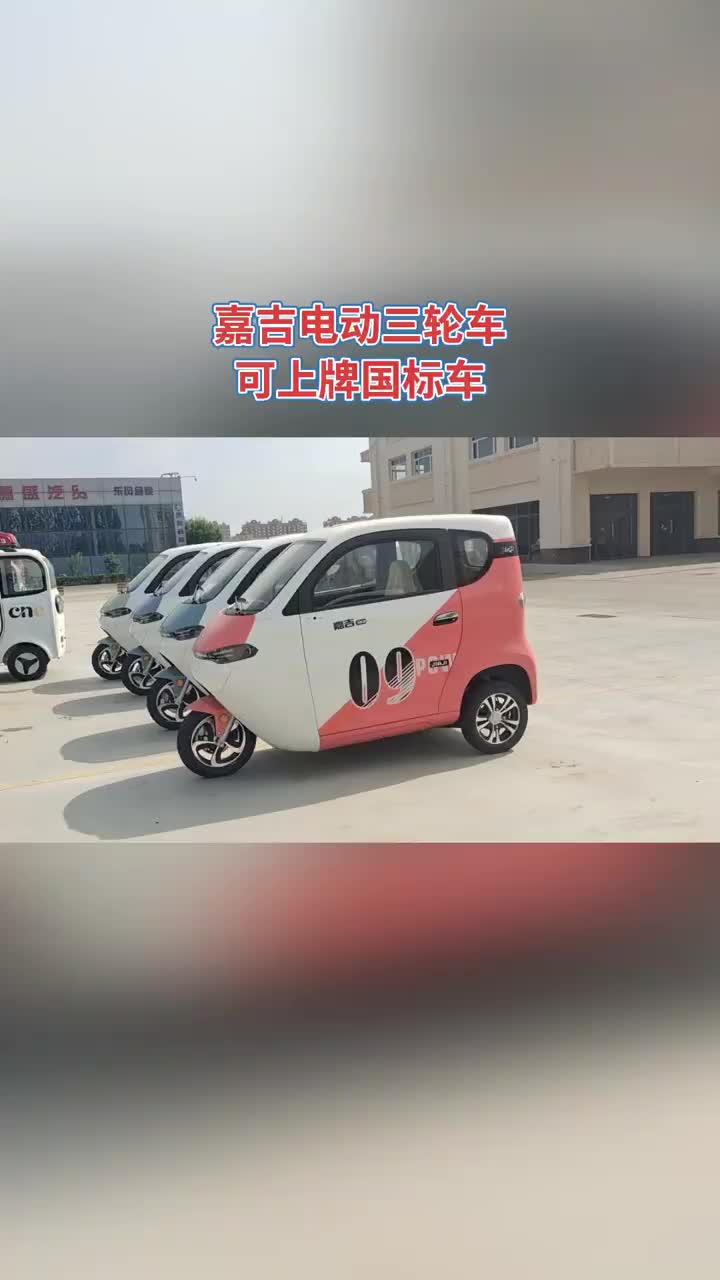 國標電動三輪車可上牌家用電動三輪車代步車