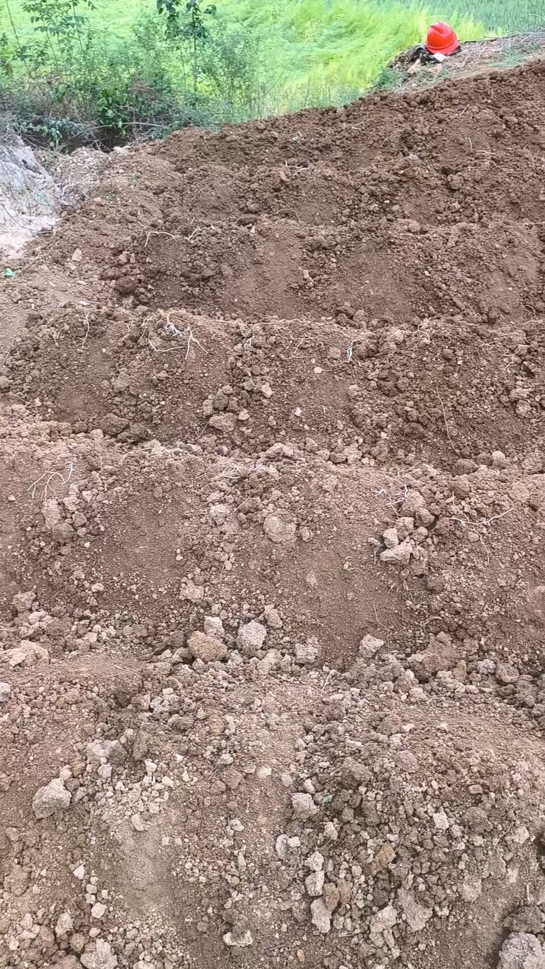 为啥要把地里的土都弄成一堆一堆的?