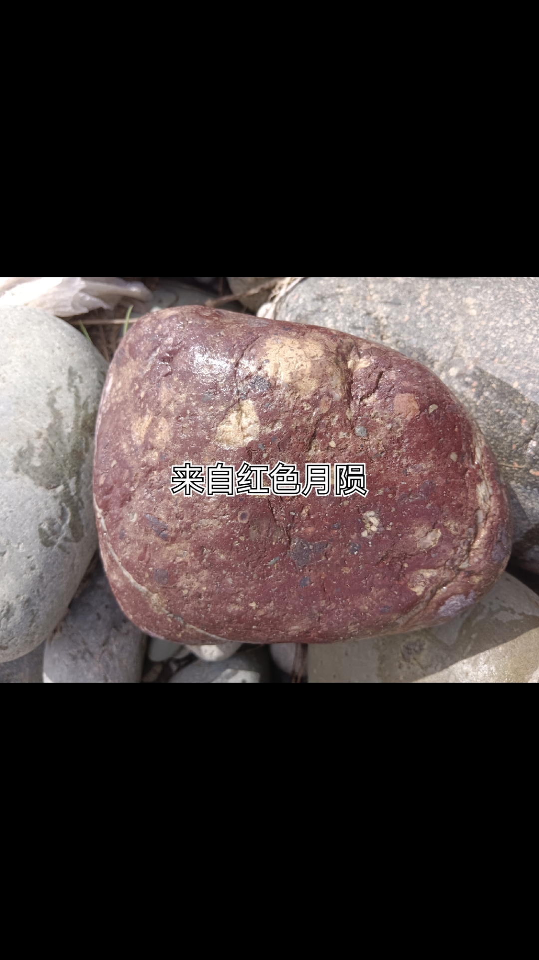 来自罕见紫红色玻质角砾陨