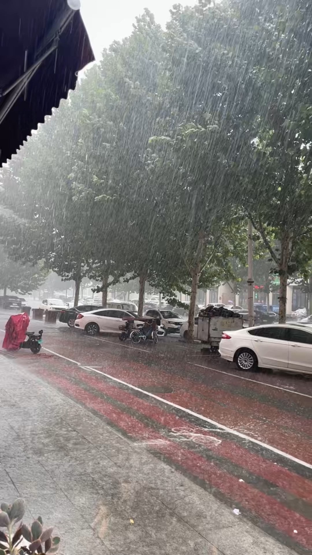 郑州下雨图片图片