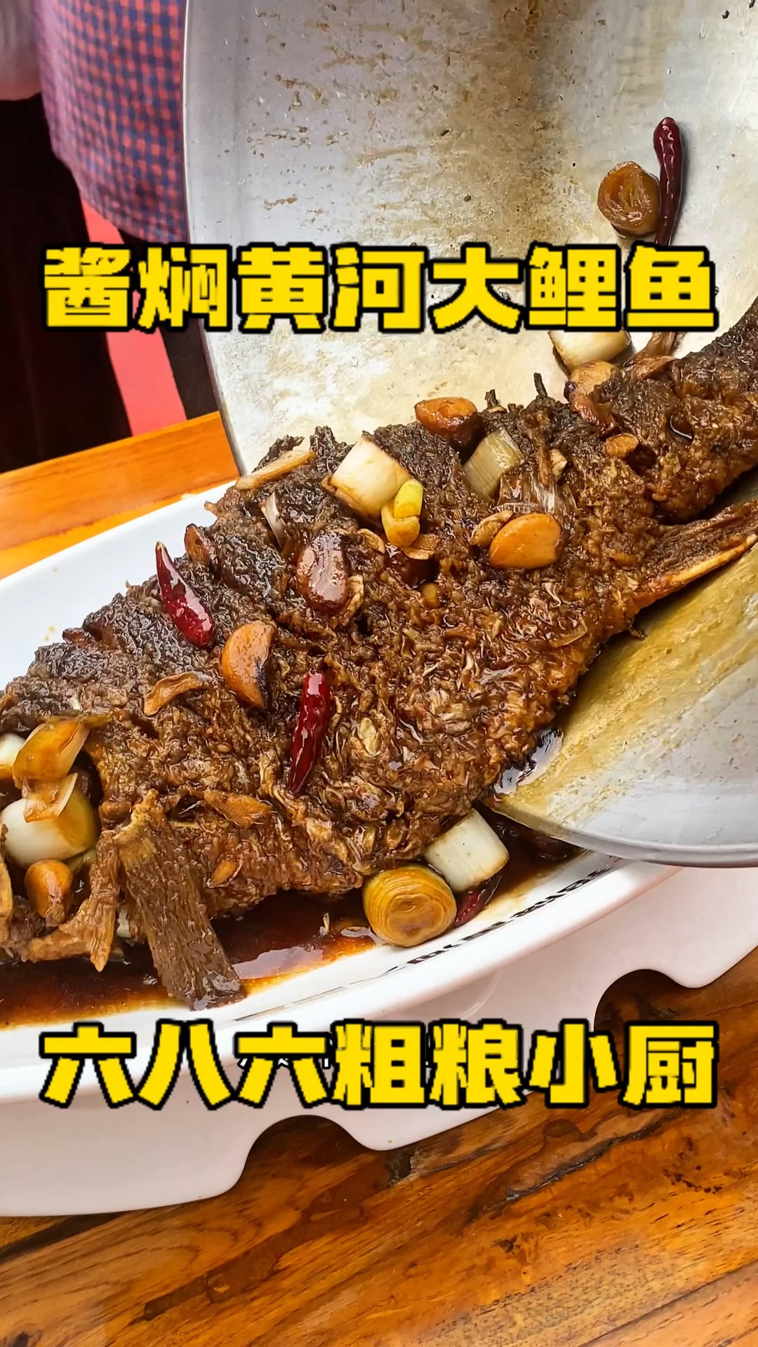 黄河大鲤鱼简介内容图片