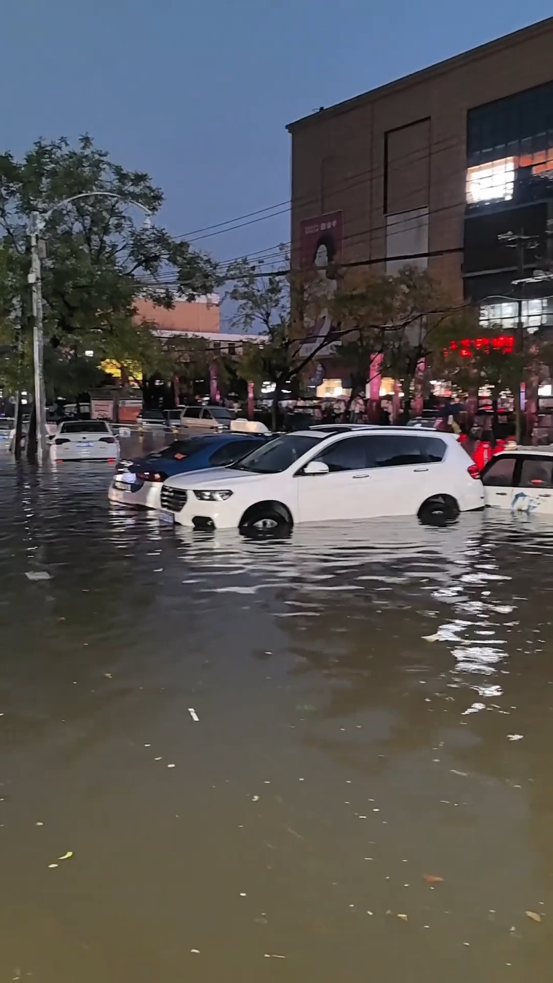 河南周口暴雨图片