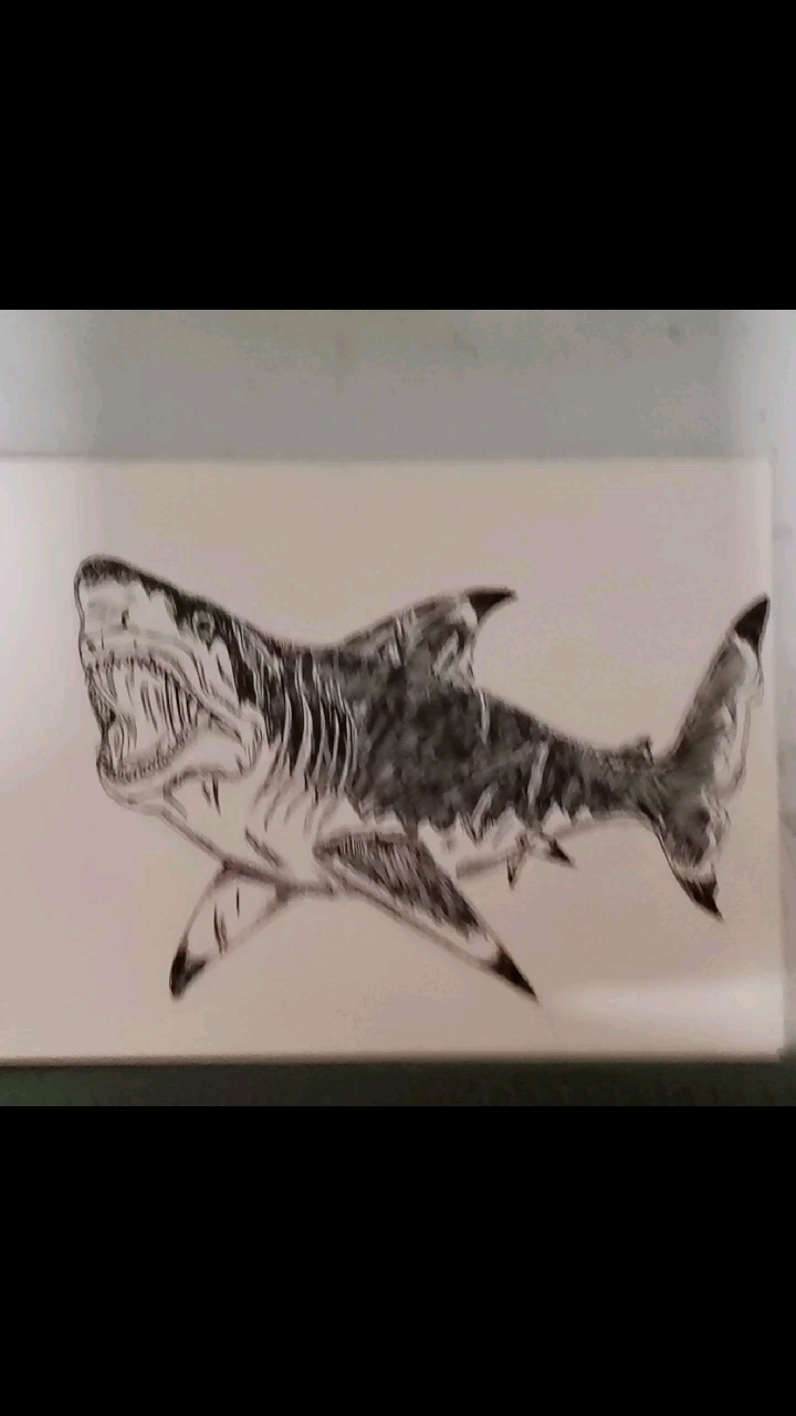 巨齿鲨画法 恐怖图片