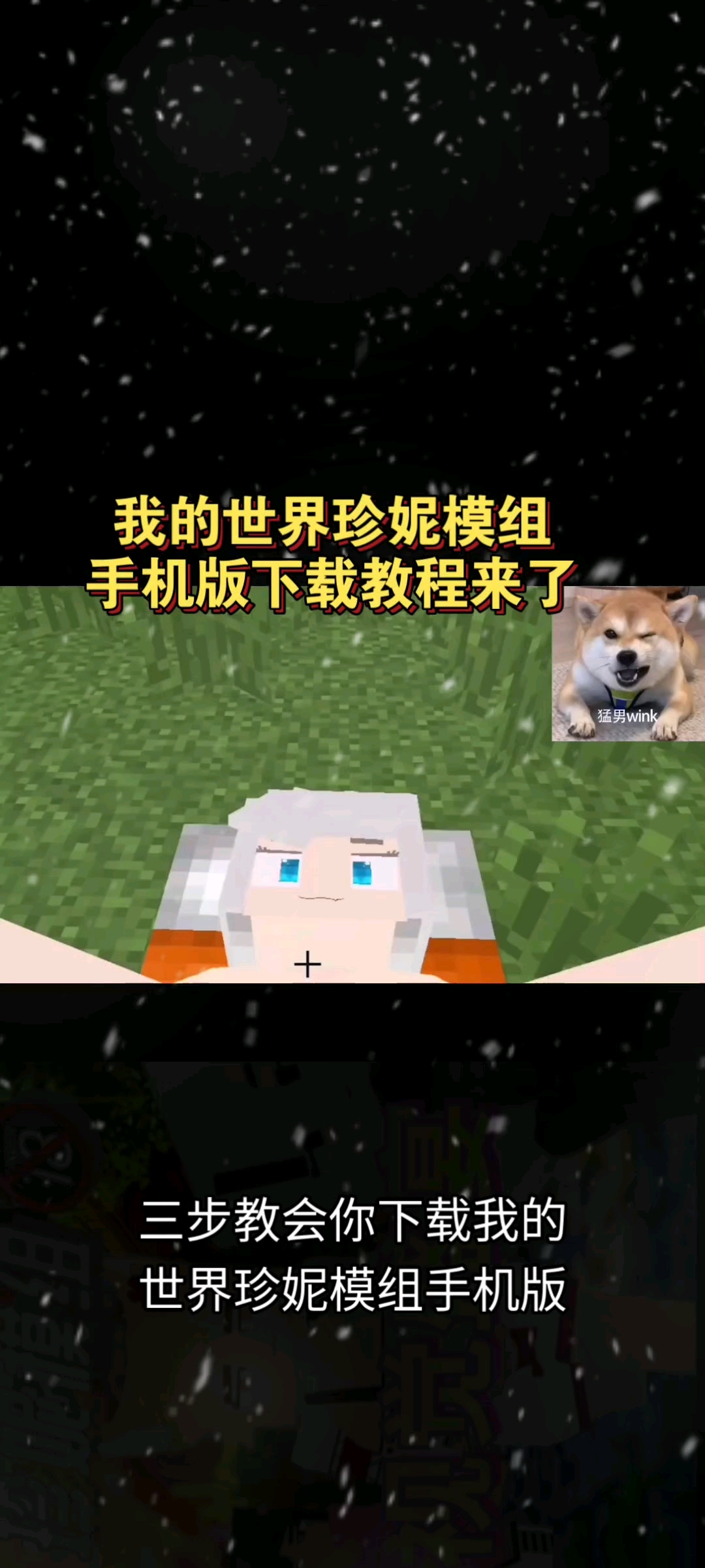 我的世界珍妮模组下载教程