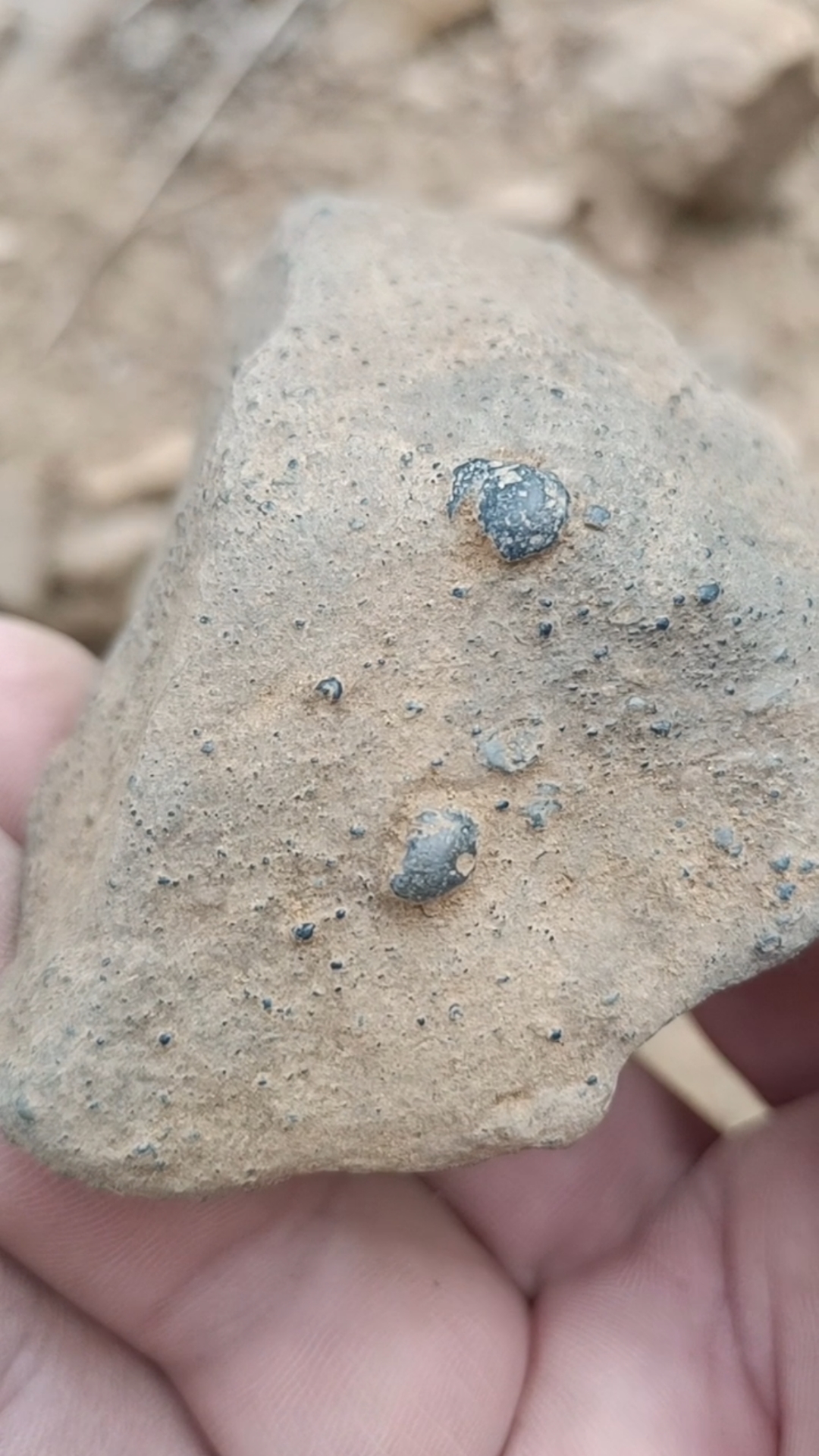 莱芜大汶河陨石陨落区ck5碳质球粒陨石