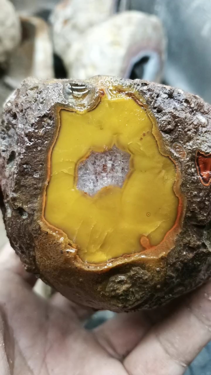 战国红刘大湾精品鸡油黄