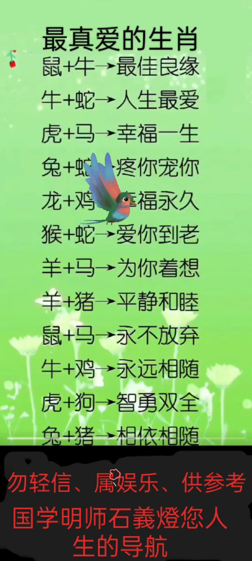 运势暧昧是指什么生肖(运势意思?)