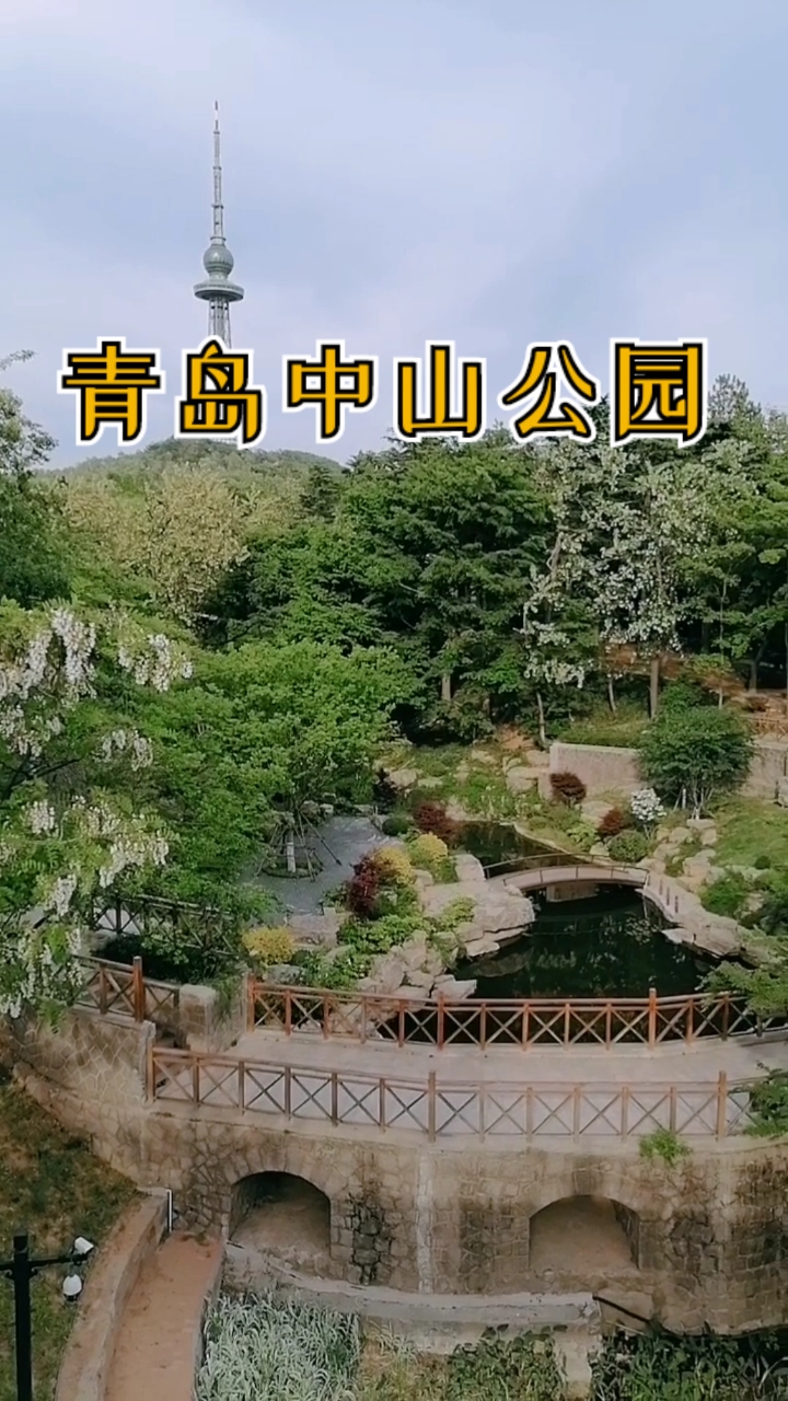 青岛中山公园里的风景