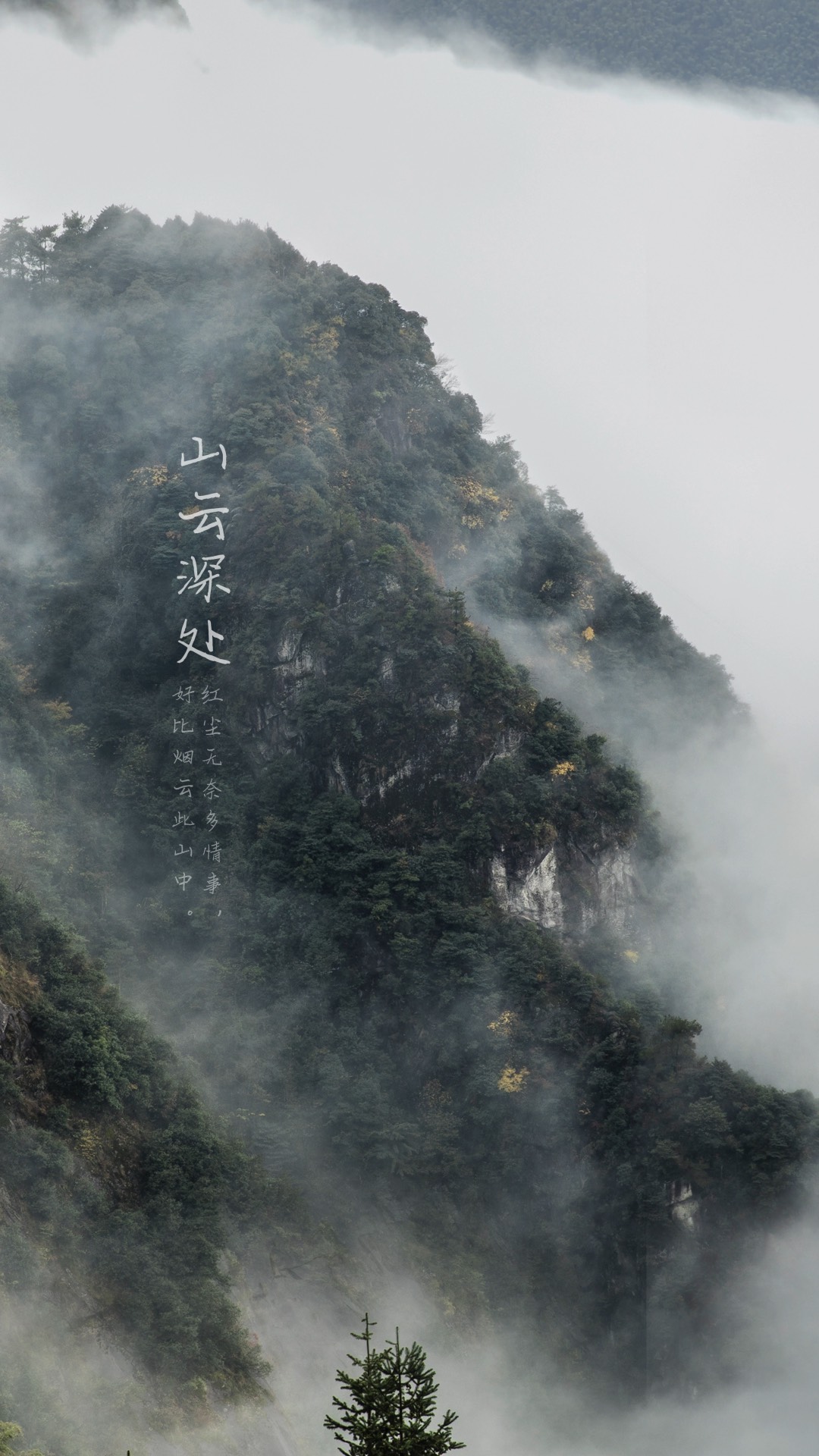 平江风景每日一图之福寿山镇福寿山自然风景