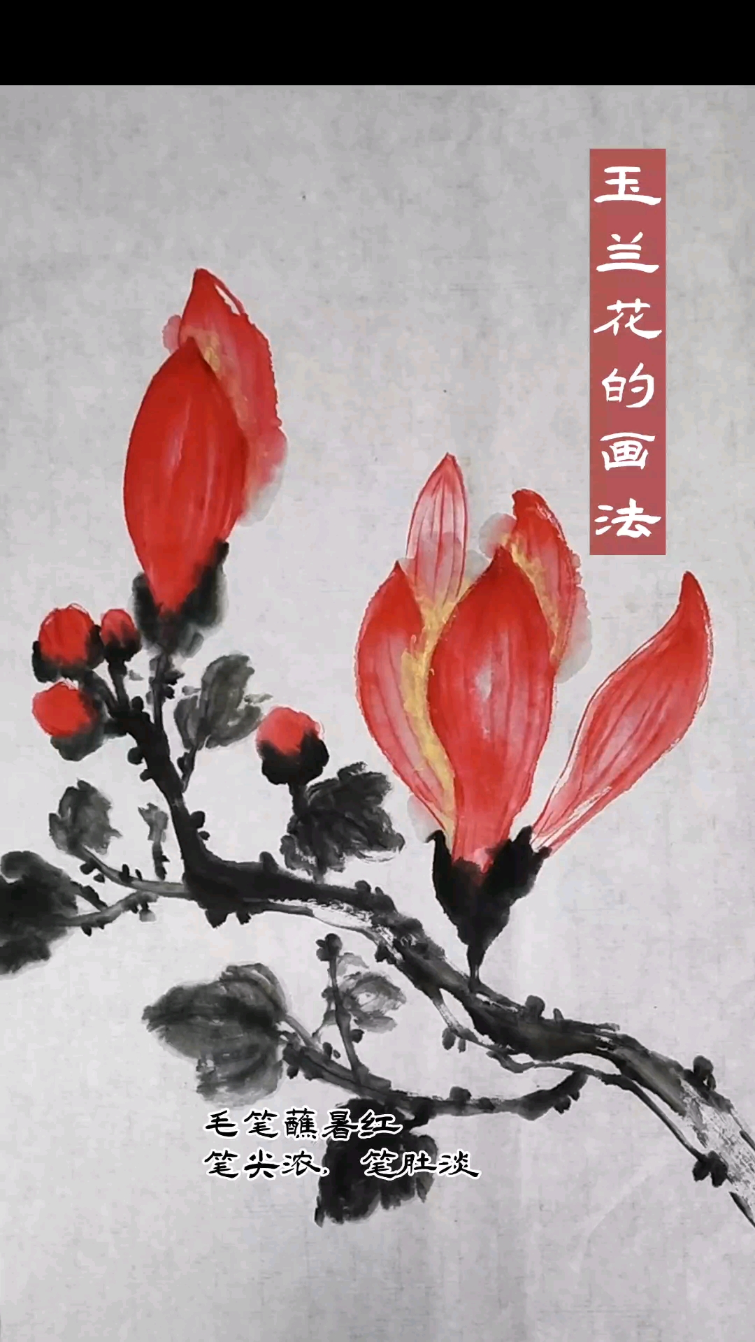 玉兰花这样画