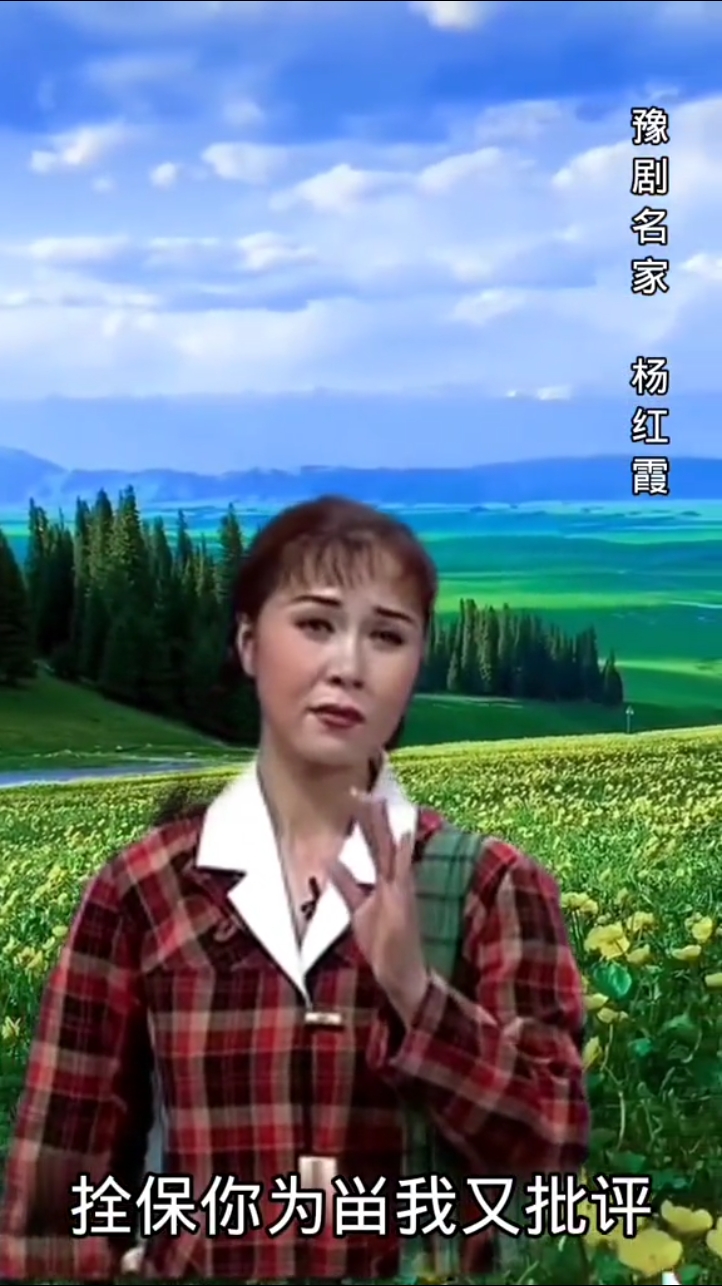 豫剧名家杨红霞银环的唱段