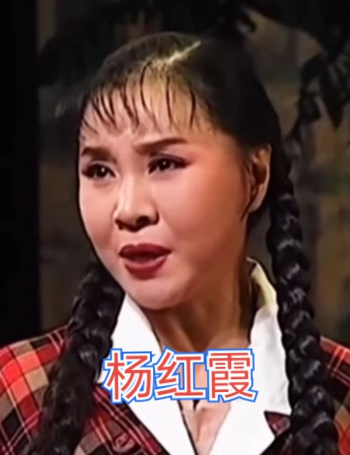 豫剧名家杨红霞朝阳沟