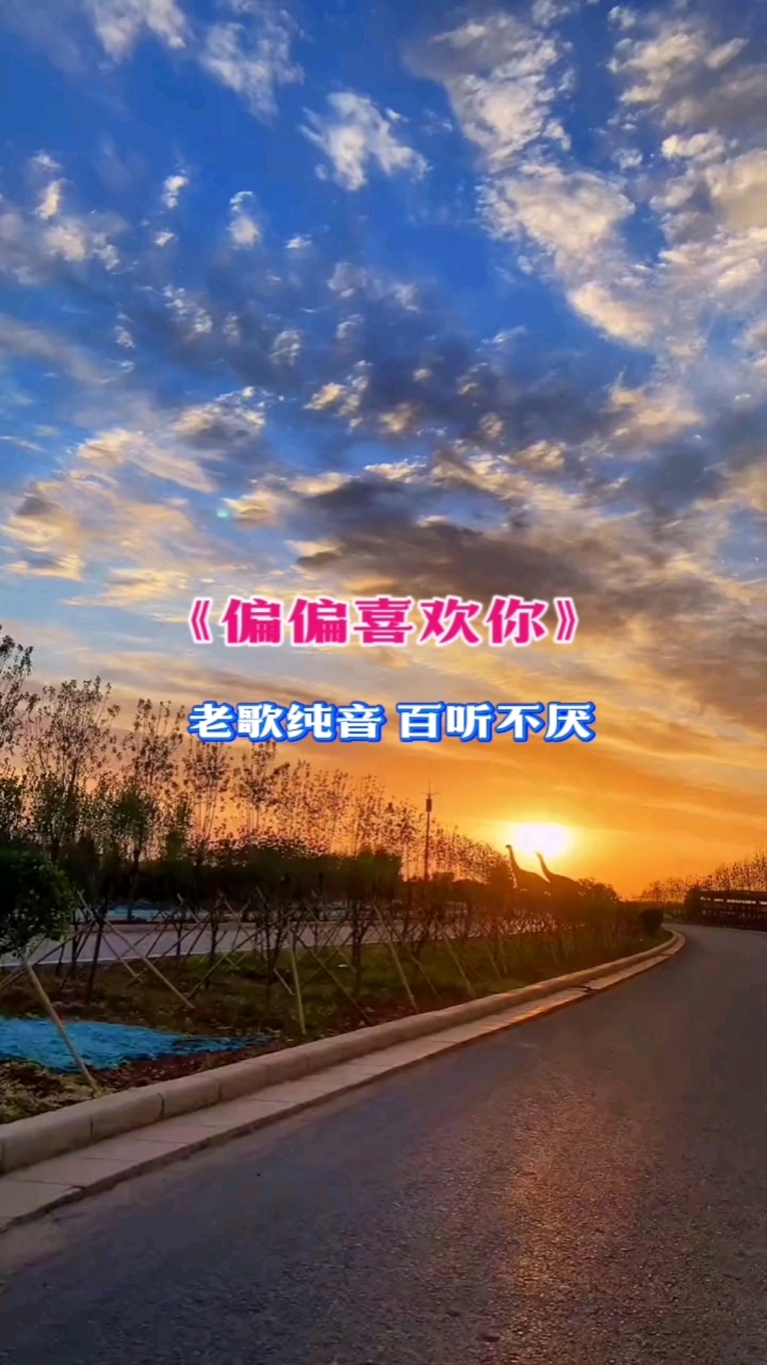 为什么偏偏喜欢你高胜美为什么在线 为什么偏偏喜欢你高胜美为什么在线