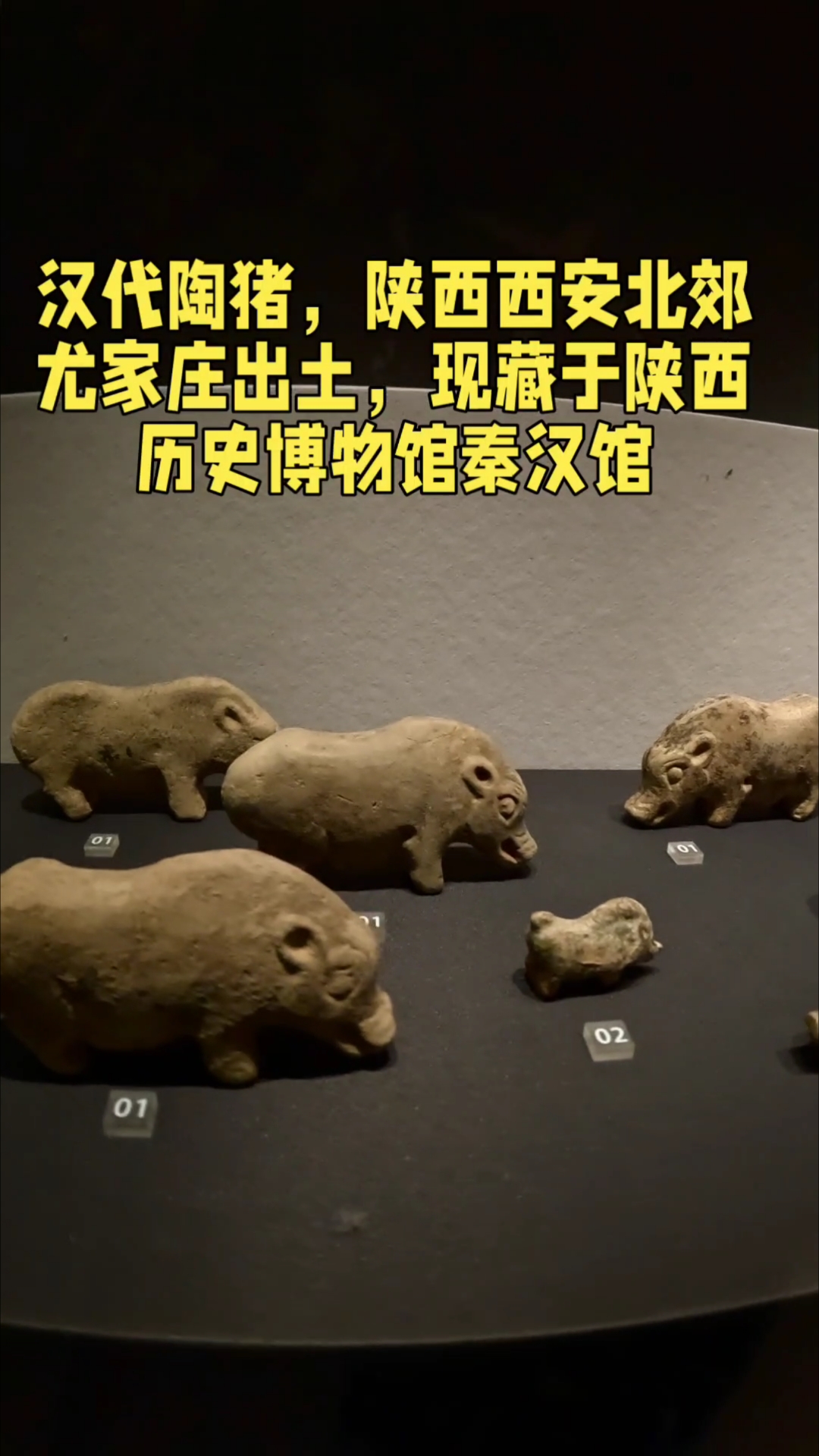 汉代陶猪,西安北郊尤家庄出土,现藏于陕西历史博物馆秦汉馆