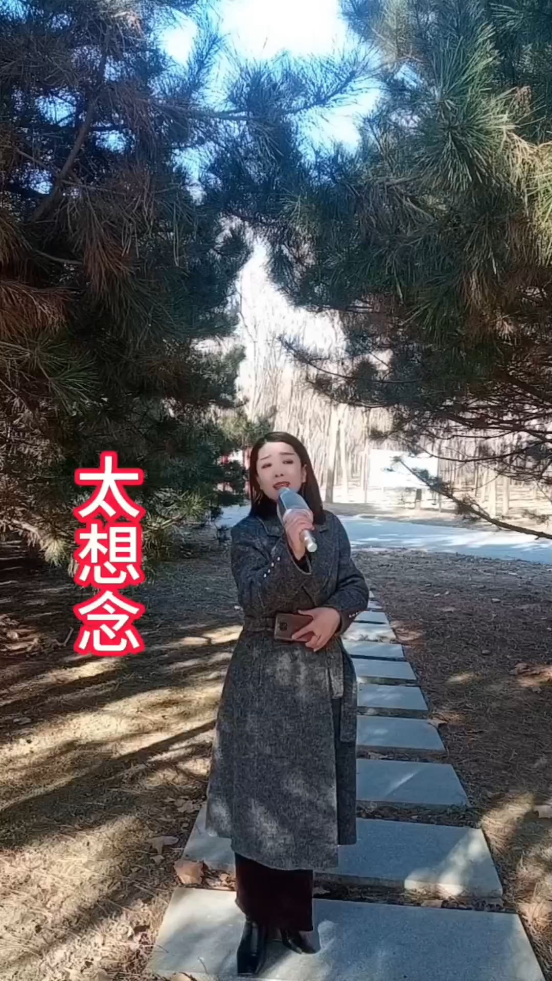 歌曲太想念原唱(歌曲太想念原唱彭筝)