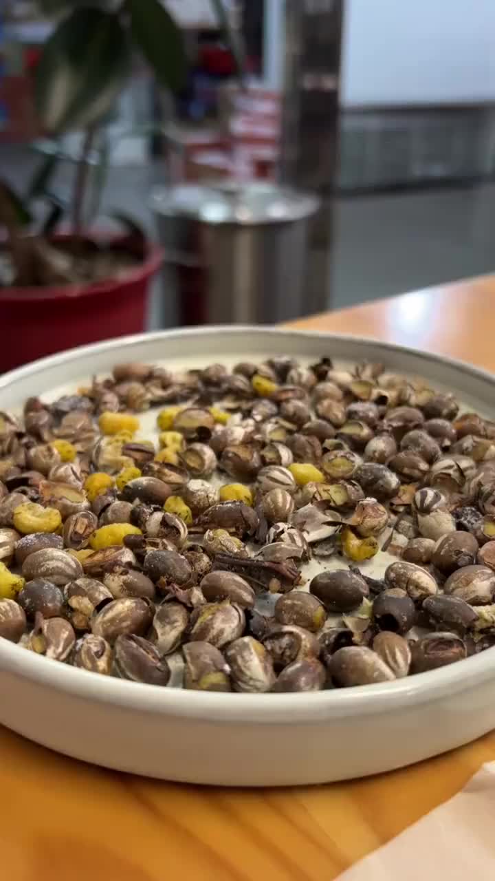 东北特色杨拉罐,你小时候吃过吗?东北杨拉罐