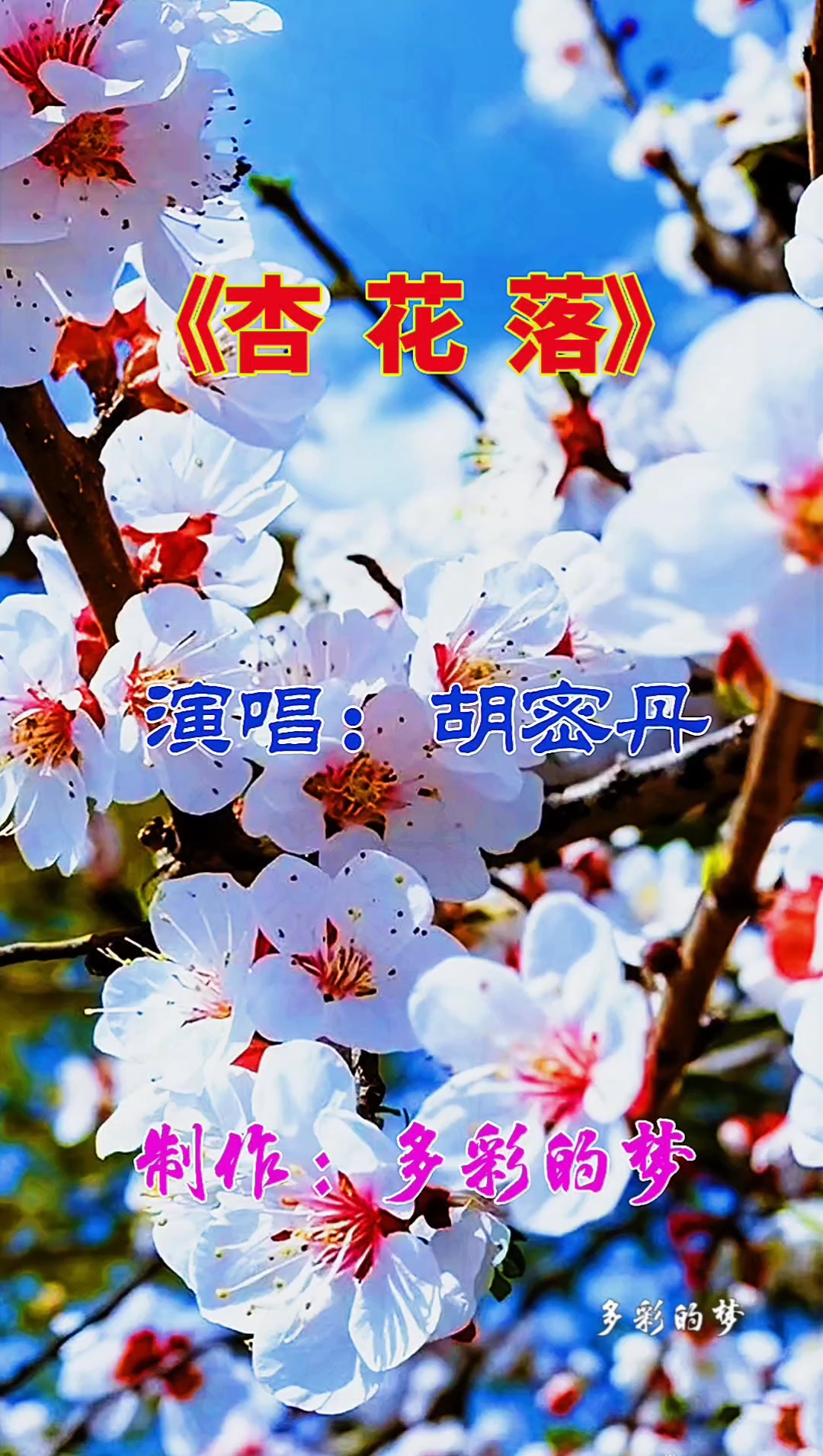 《杏花落》原创音乐视频