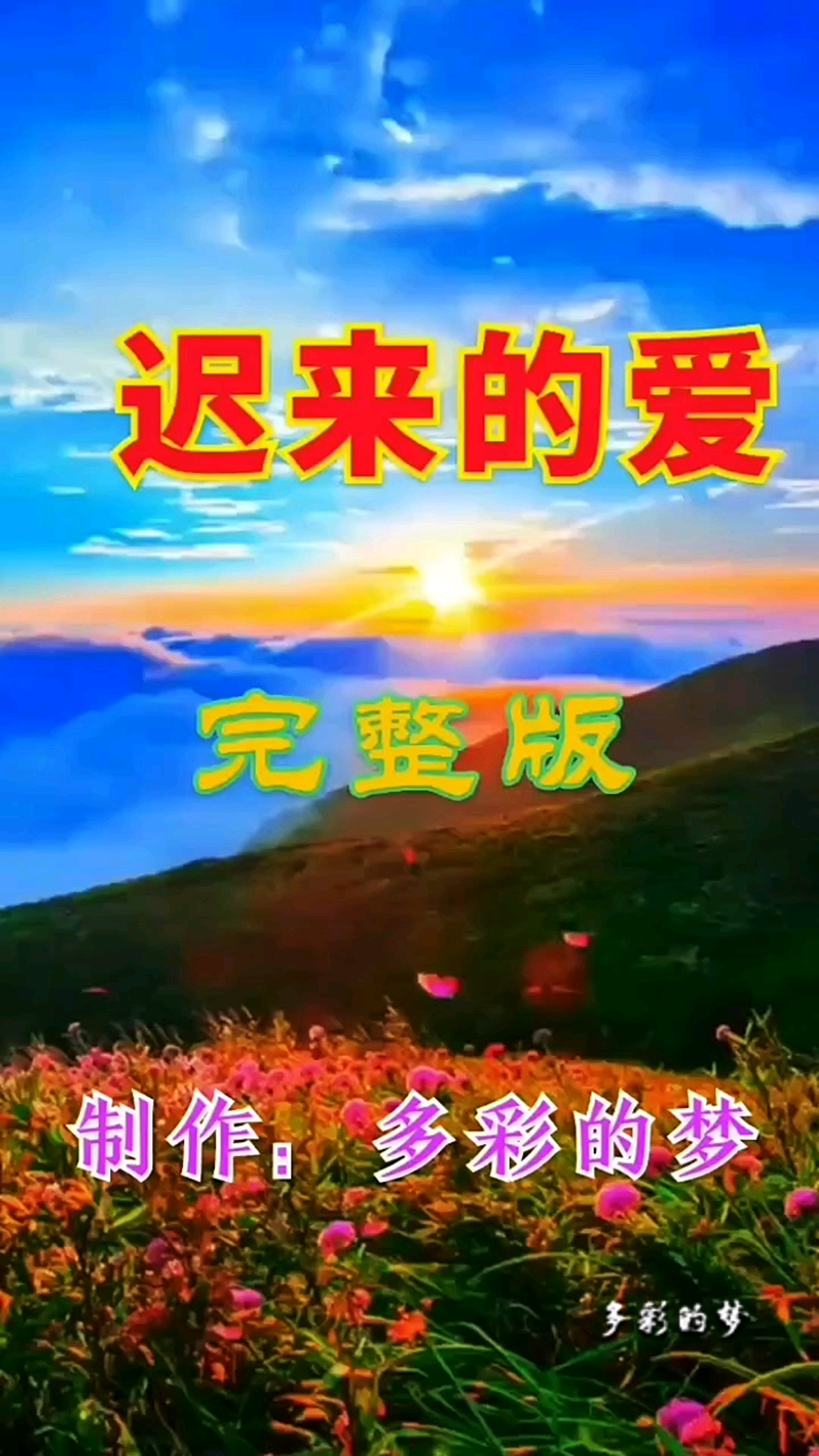 《迟来的爱》完整版在线看