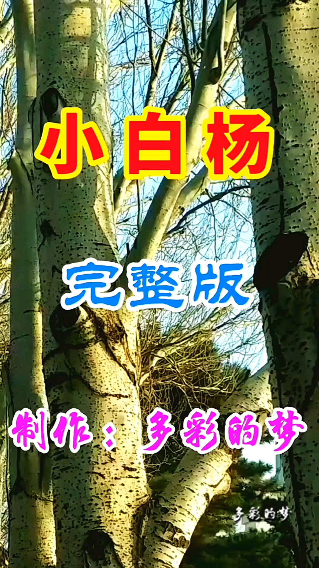 《小白杨》原创音乐视频