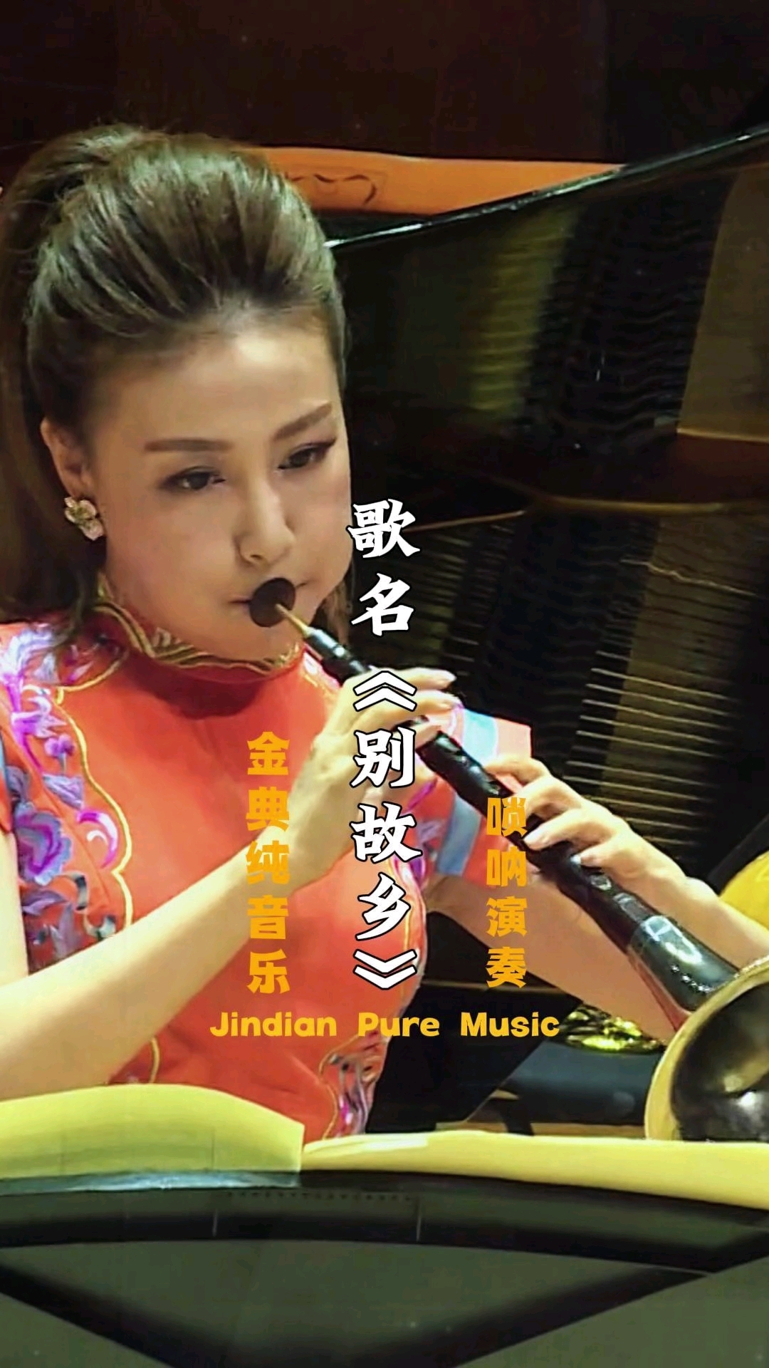 唢呐纯音乐【别故乡】