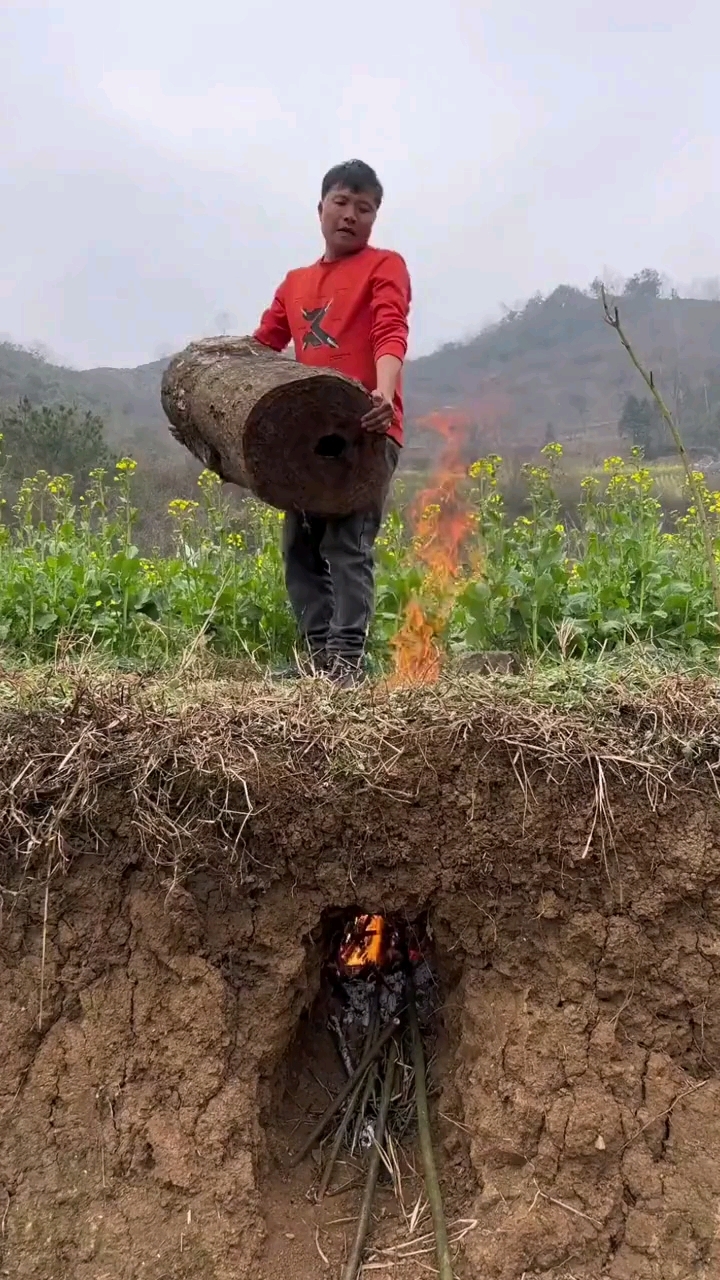 火烧蜜蜂视频(火烧猫咪原视频)