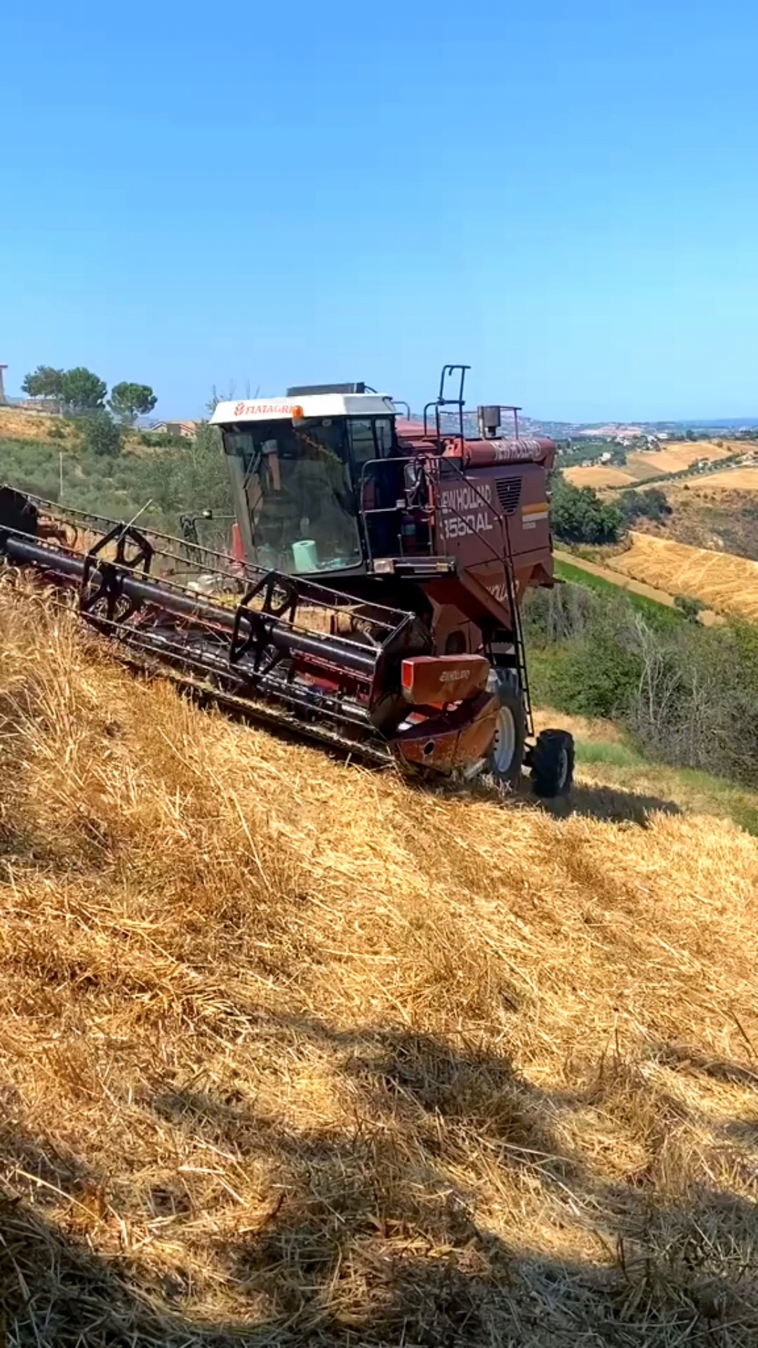 山地收割机,专为收割坡地小麦,陡度再大也能割,太牛啦