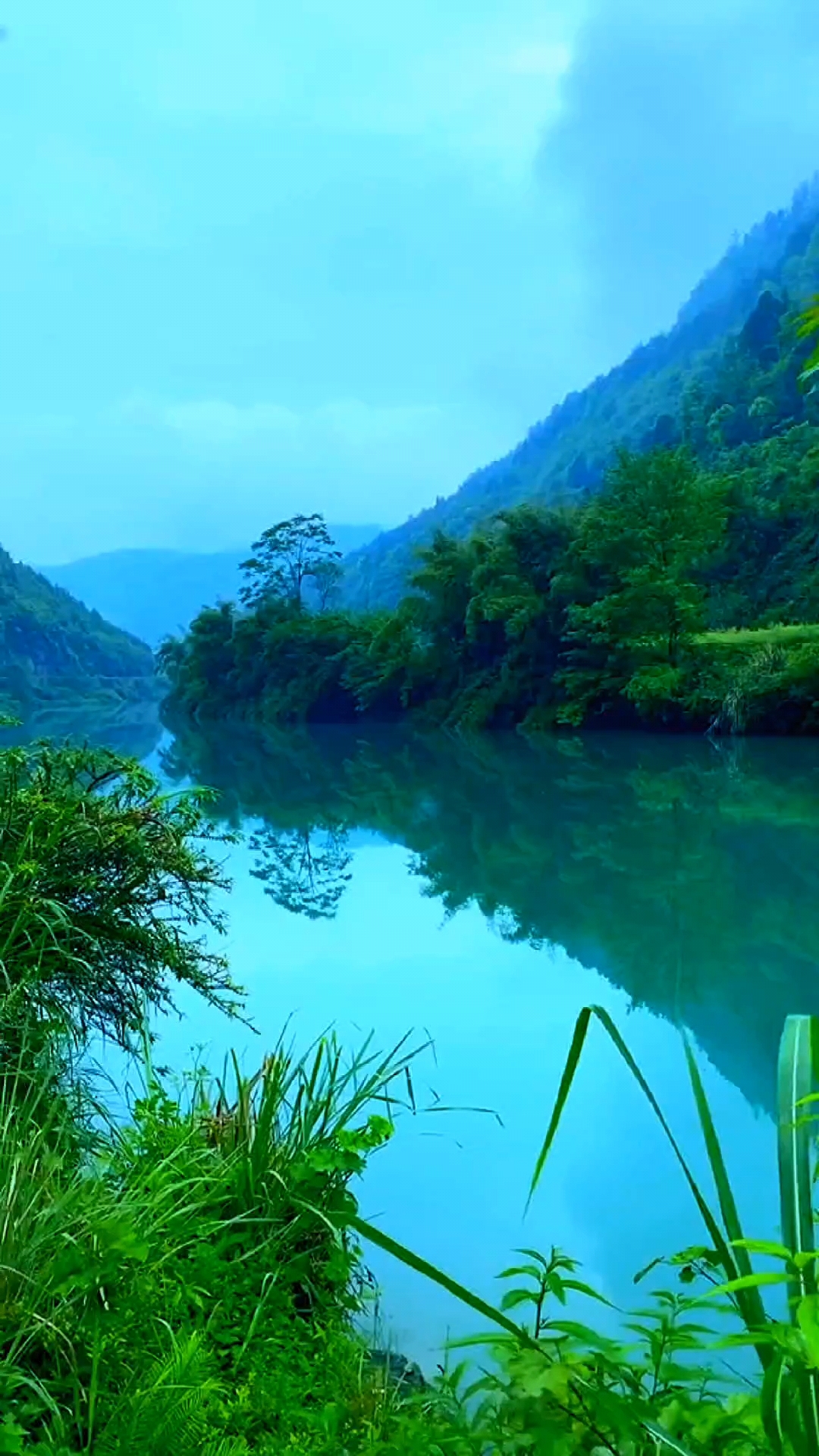 人生的路,走走停停是一种闲适,边走边看是一种优雅.