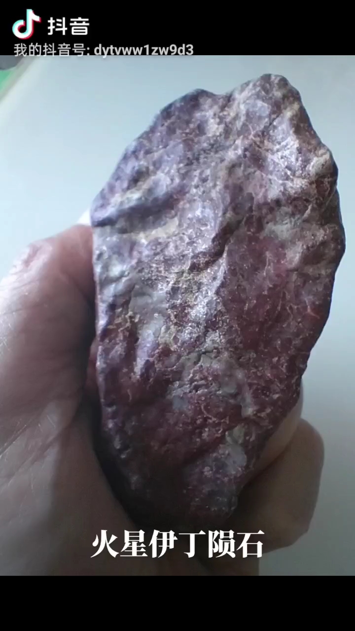 漂亮的火星伊丁陨石