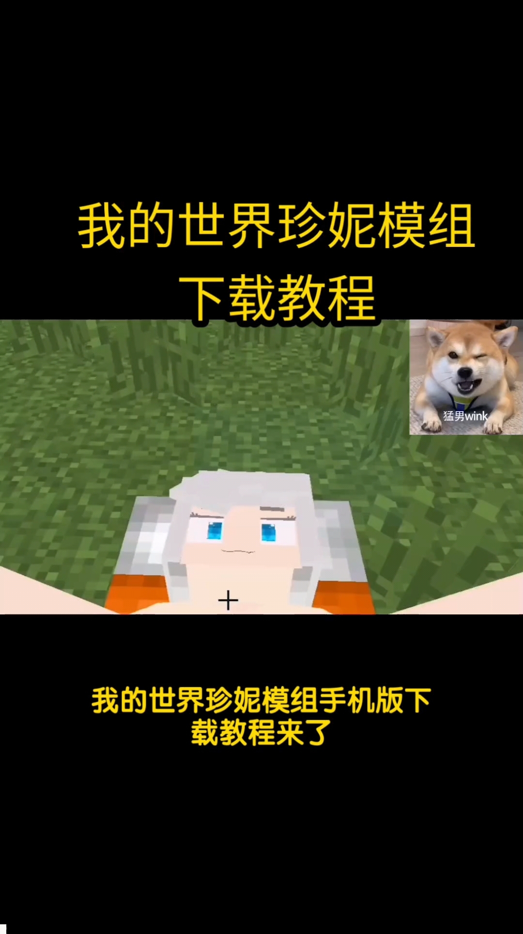 珍妮模组视频