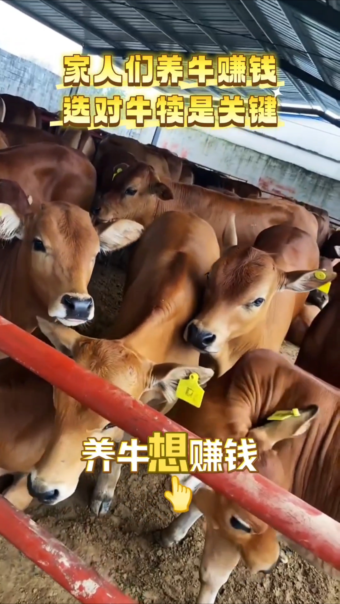 曲靖黄牛代办的最新政策(2025年曲靖黄牛代办营业执照多少钱分享)