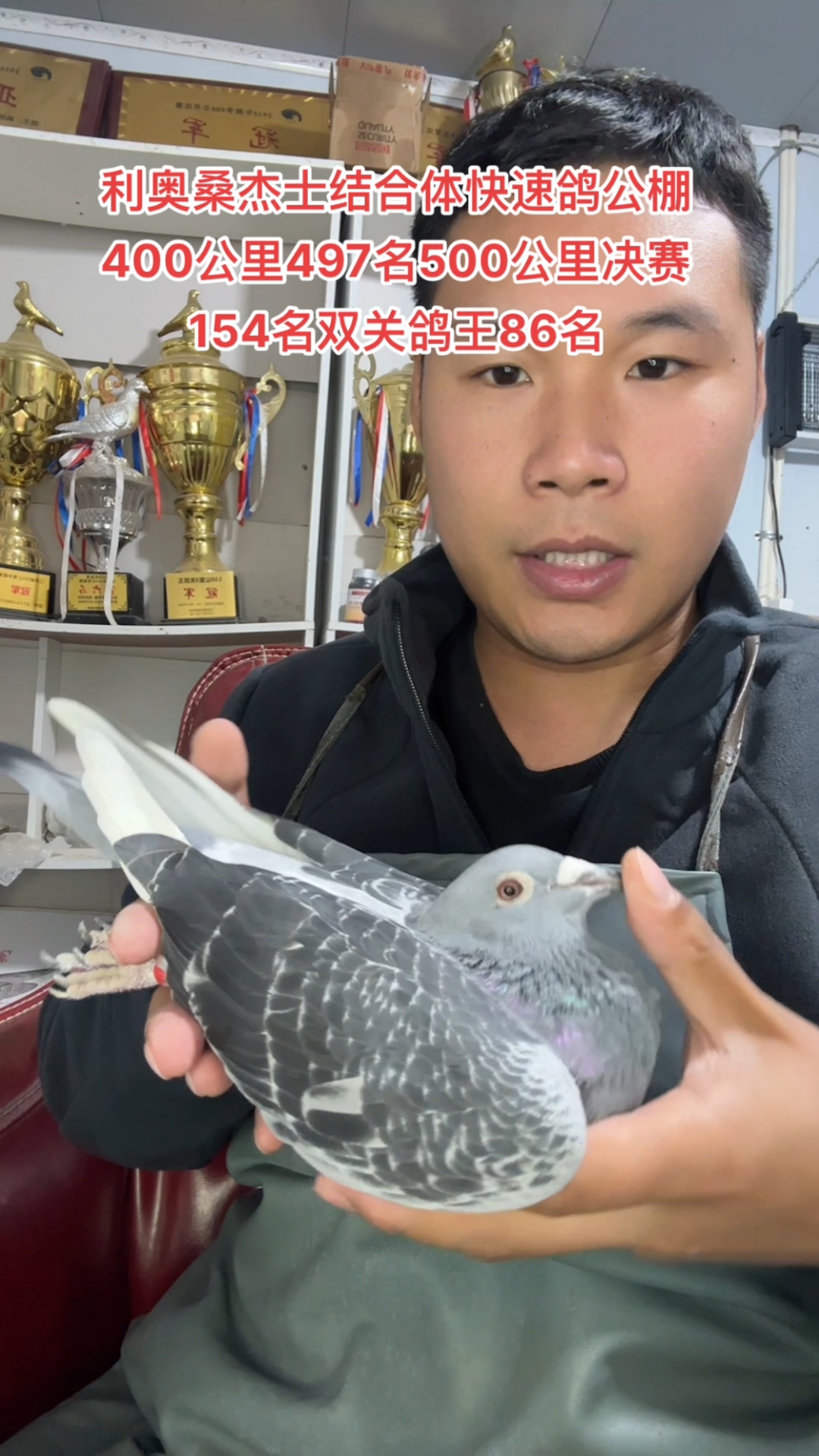 利奥桑杰士结合体快速鸽公棚400公里497名500公里决赛1