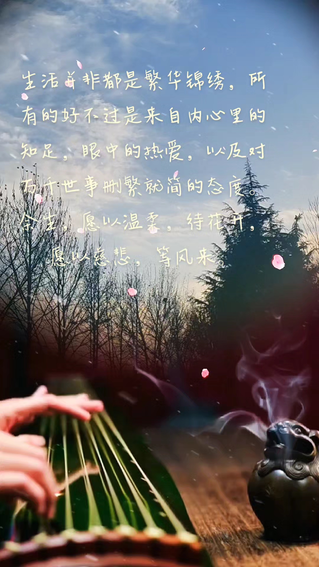 愿以温柔待花开,愿以慈悲等风来