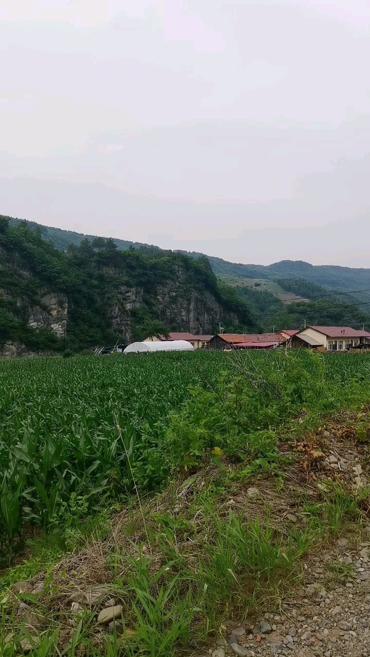大好河山,峰美水清.