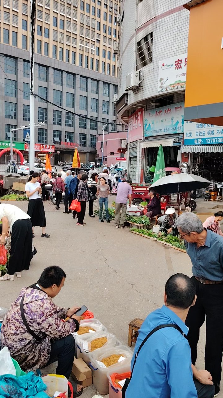新闻动态聚焦：株潭镇的发展脉络
