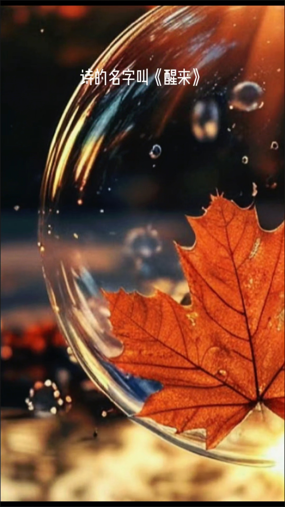 读懂了这首诗,就参透了人生