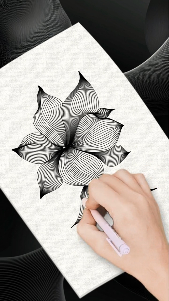 如何用线条画出花卉的别致美感!