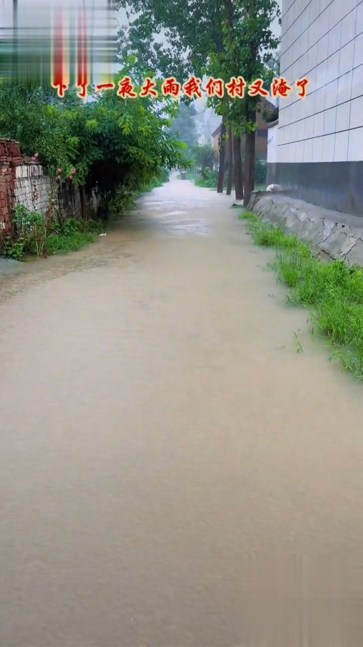 河南周口暴雨图片