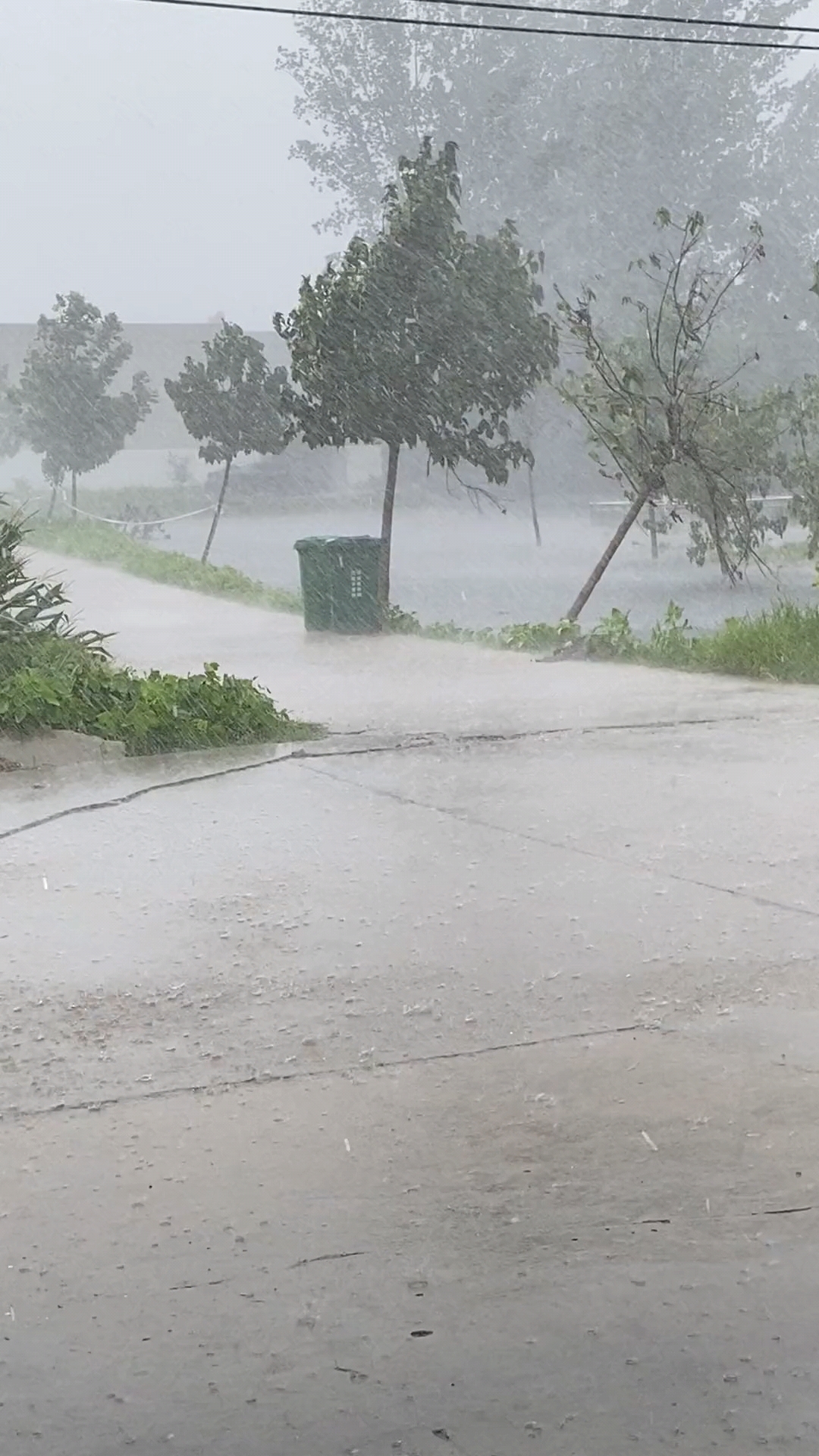 河南周口暴雨图片