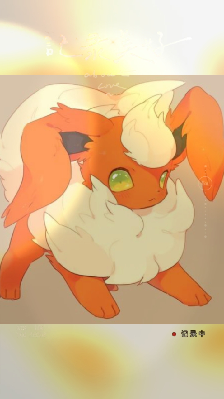 帅气可爱的火伊布,宝可梦中最可爱的火系宝可梦,粉丝3140万