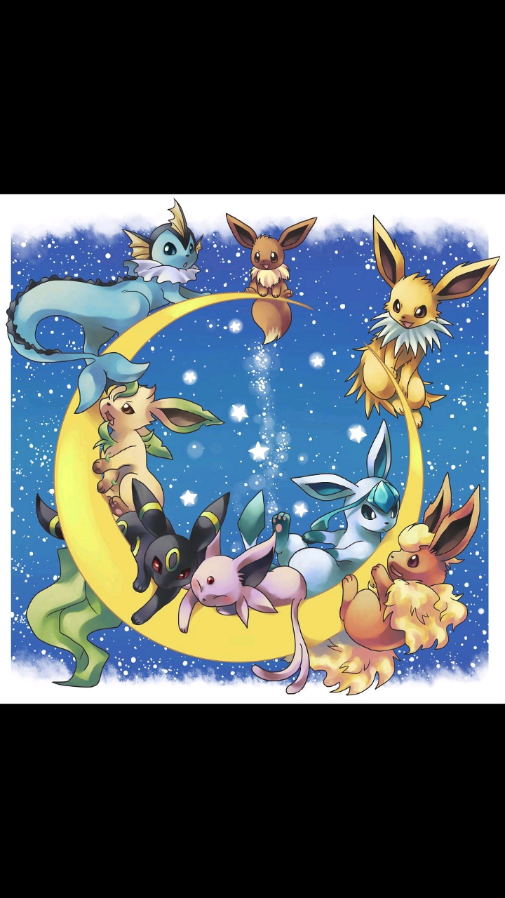 伊布小队所有成员集合,怎么可爱的伊布小队谁会不喜欢呢?