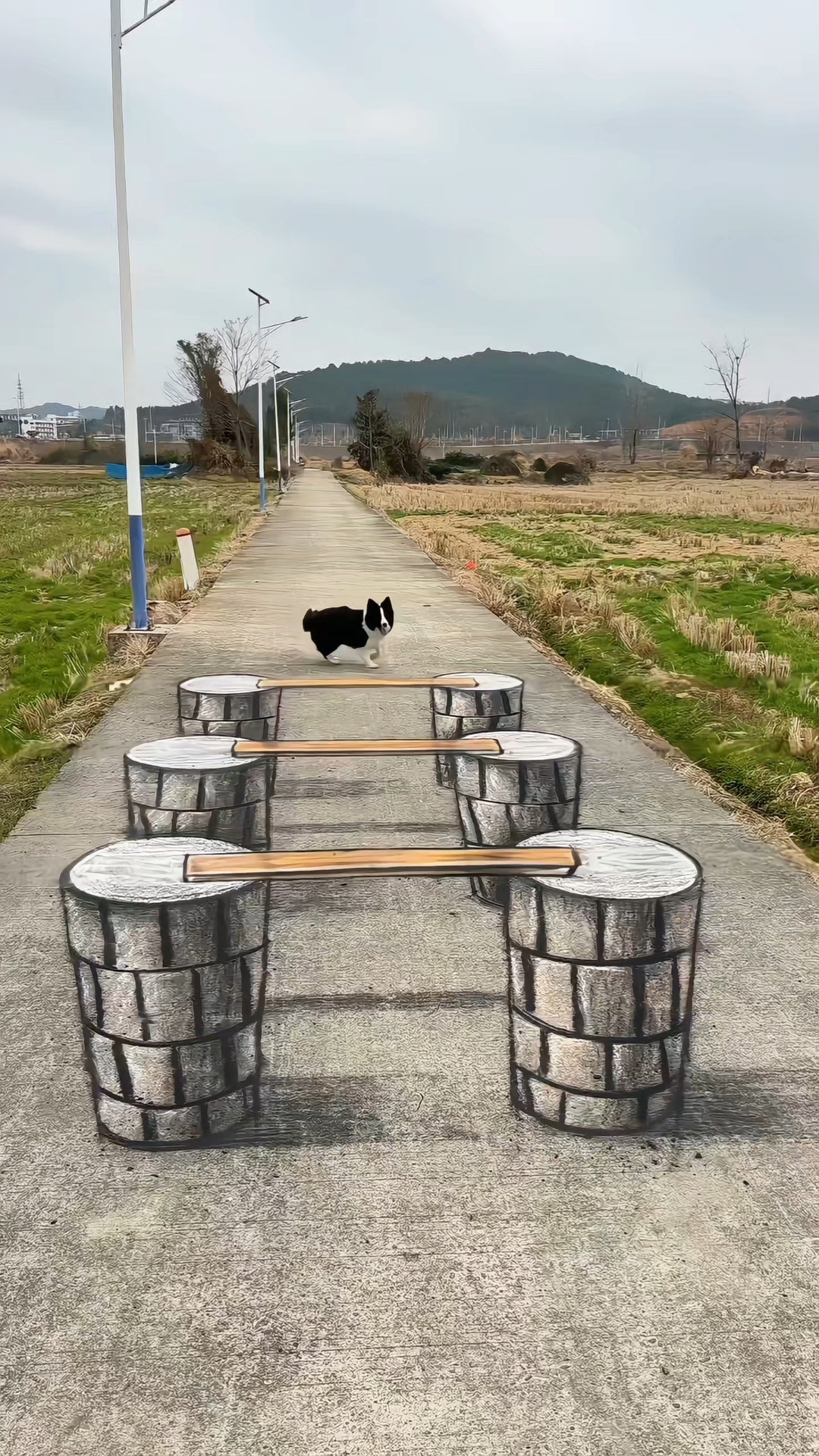 福建南平小伙炭灰粉笔绘就惊艳 3d 立体画,实力圈粉路人!