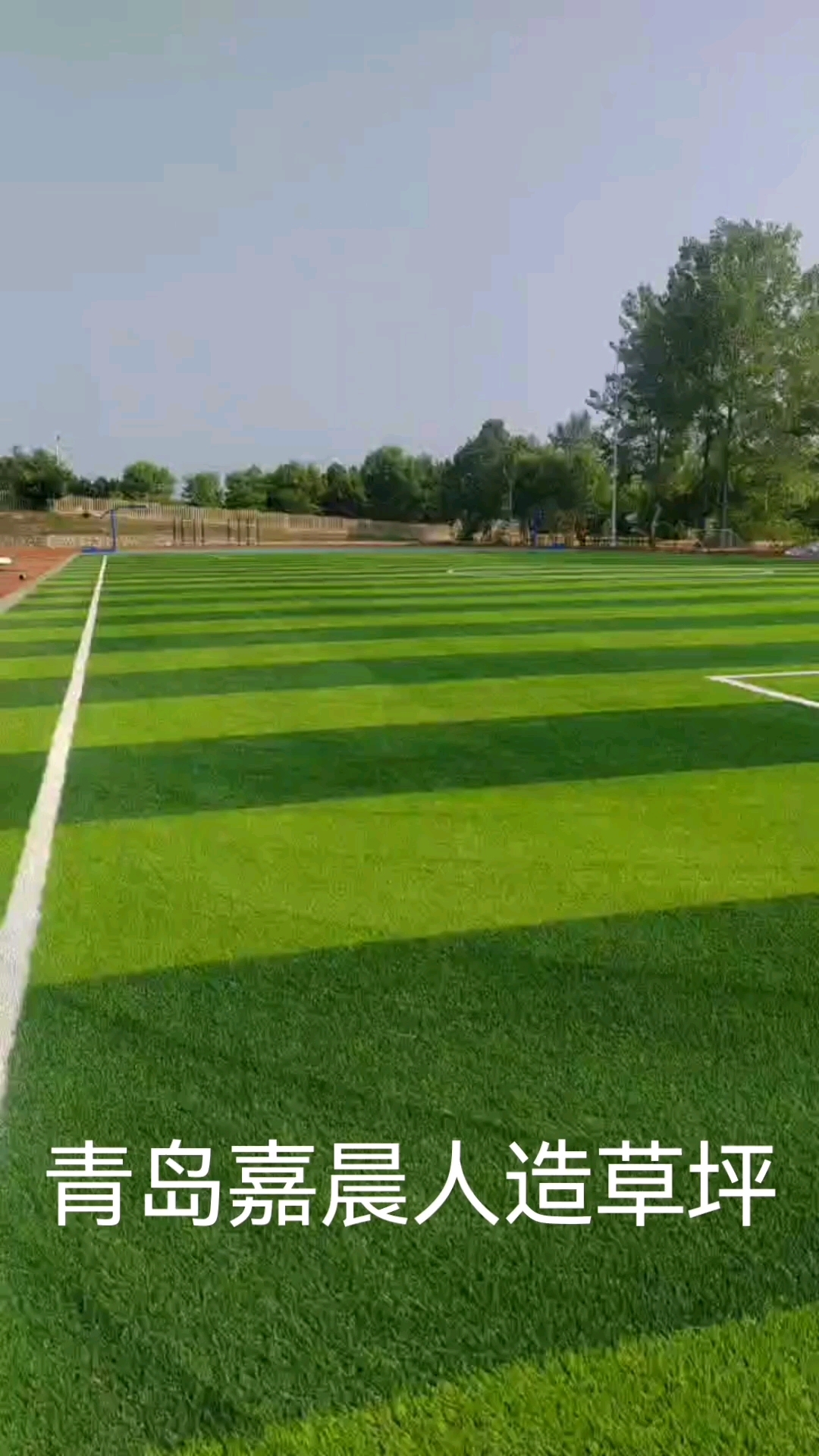青岛嘉晨人造草坪足球场