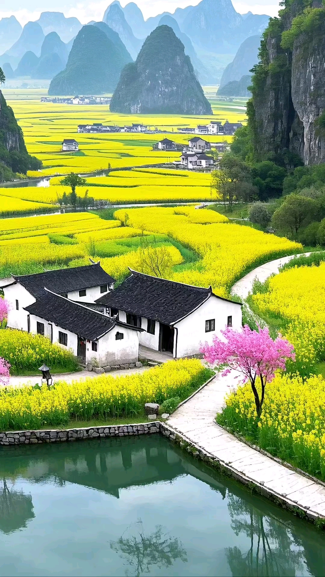 治愈系田园风光风吹麦浪,心随风静