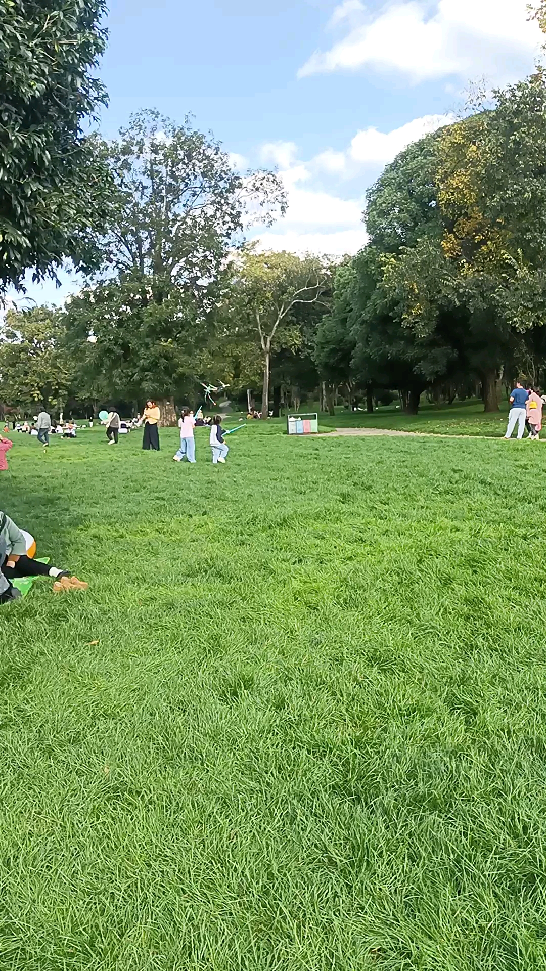 夏天休闲大草坪