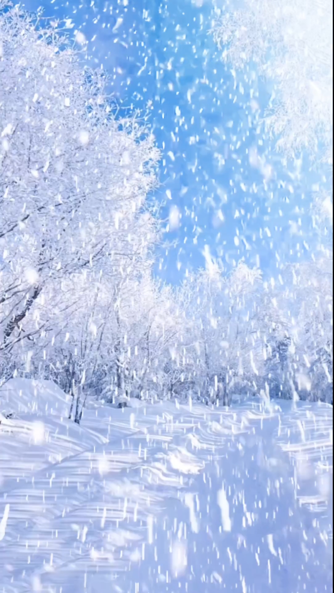 漫天飞雪图片 唯美图片