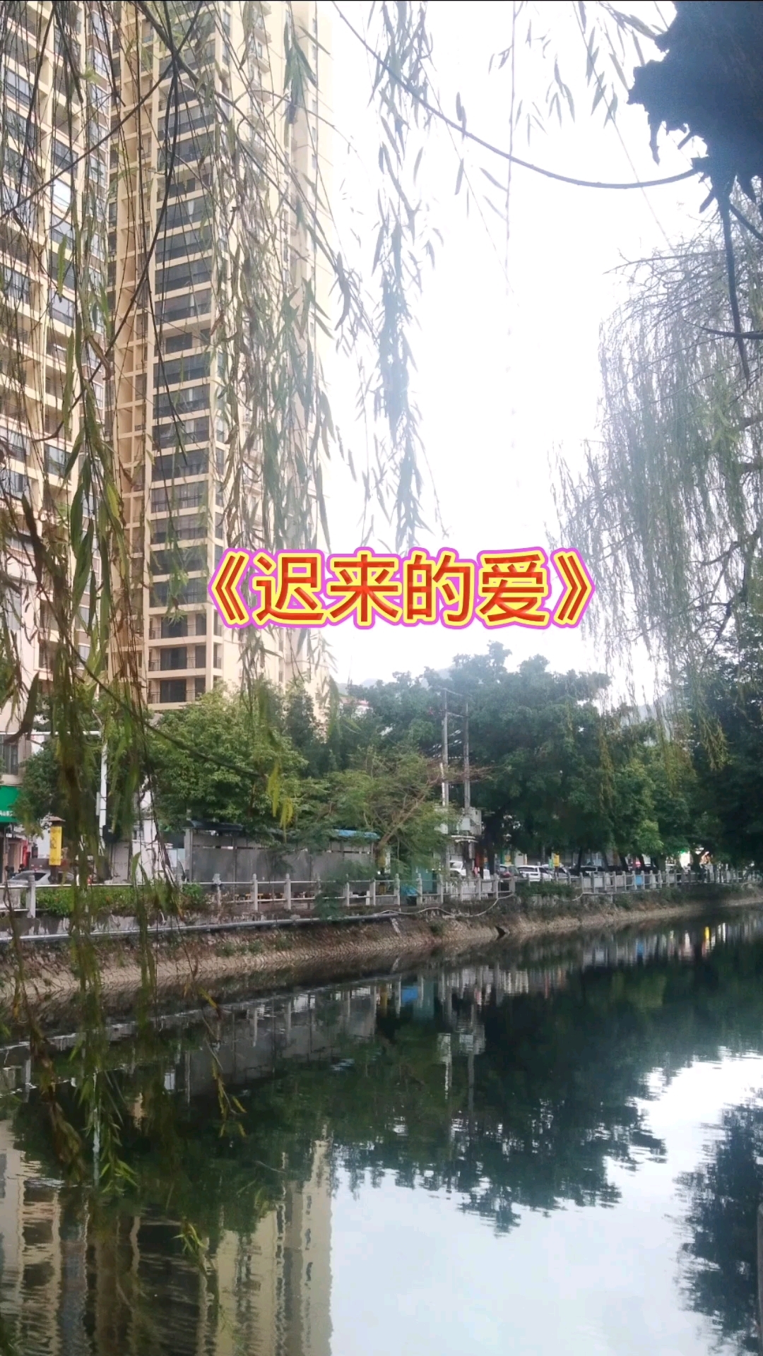 书名《迟来的爱》完整版