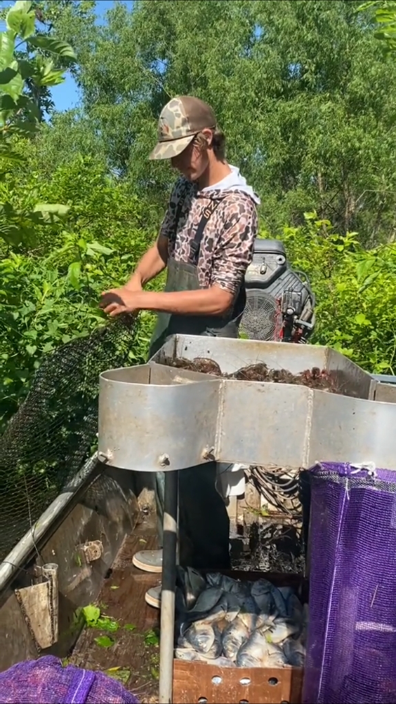 国外小伙户外捕捉小龙虾