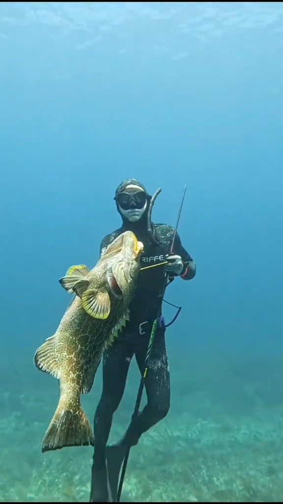 本网专稿--人民网海南频道--人民网_网上的日报