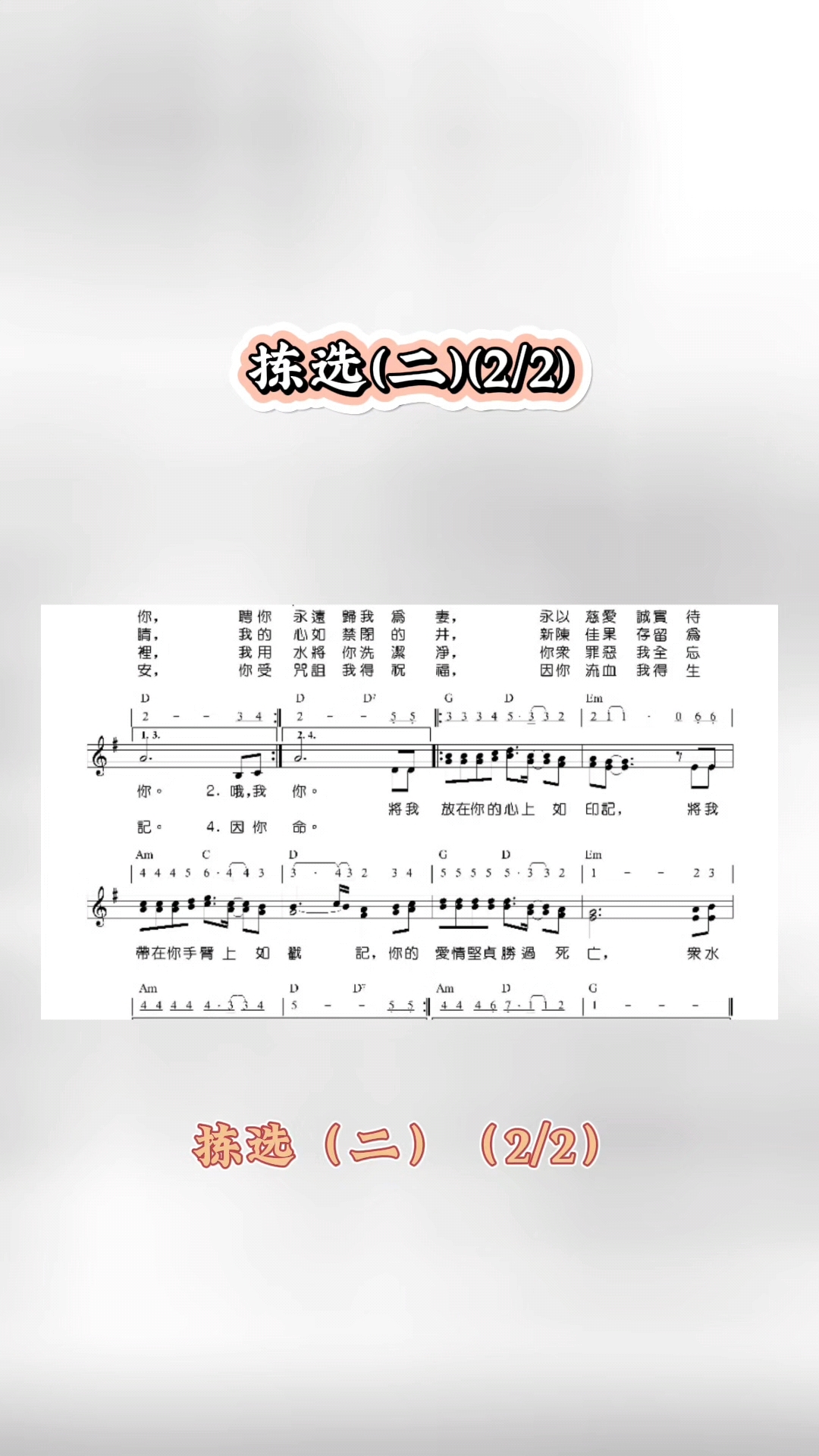 拣选(二)
