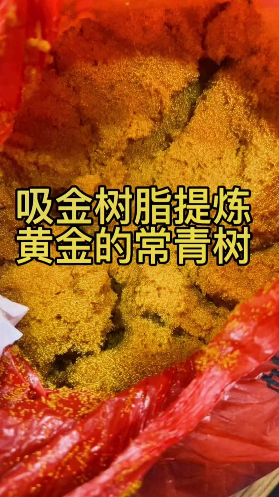 吸金树脂